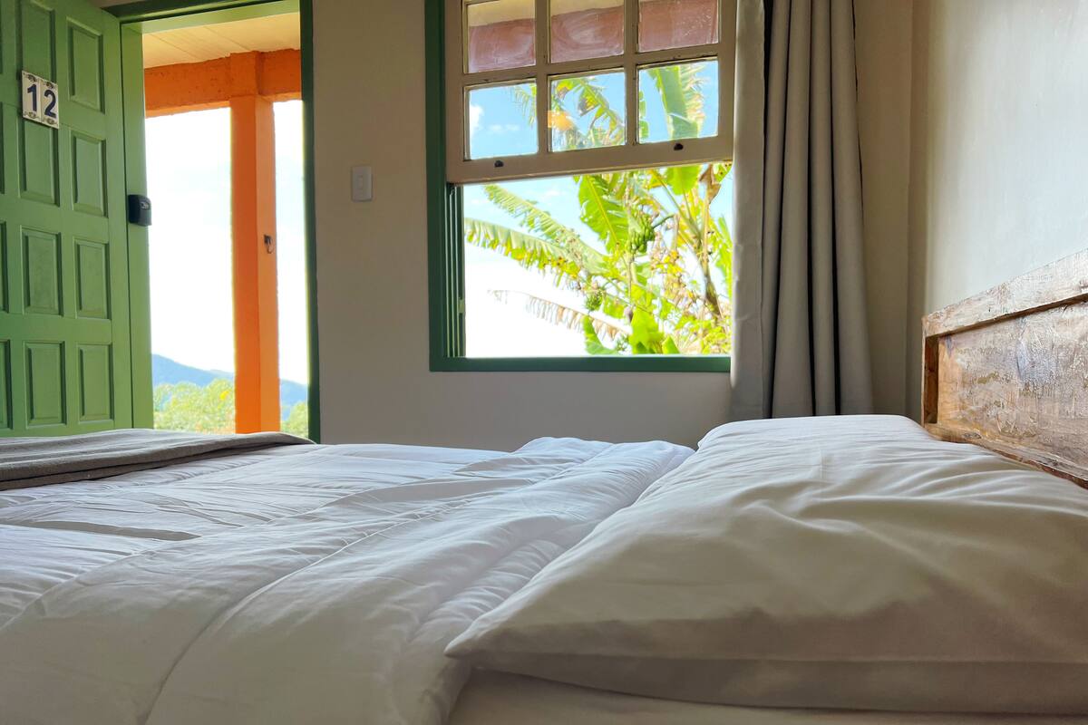 A room with a bed, a window with a view of palm trees, and a green door.