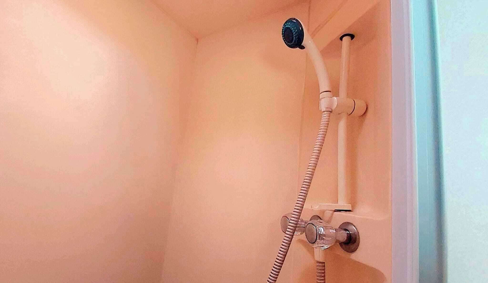 Ducha con cabezal de ducha de mano y manguera.