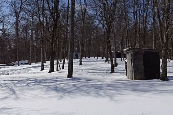 A snow-covered forest with a small wooden structure, likely a cabin or shed, surrounded by bare trees.