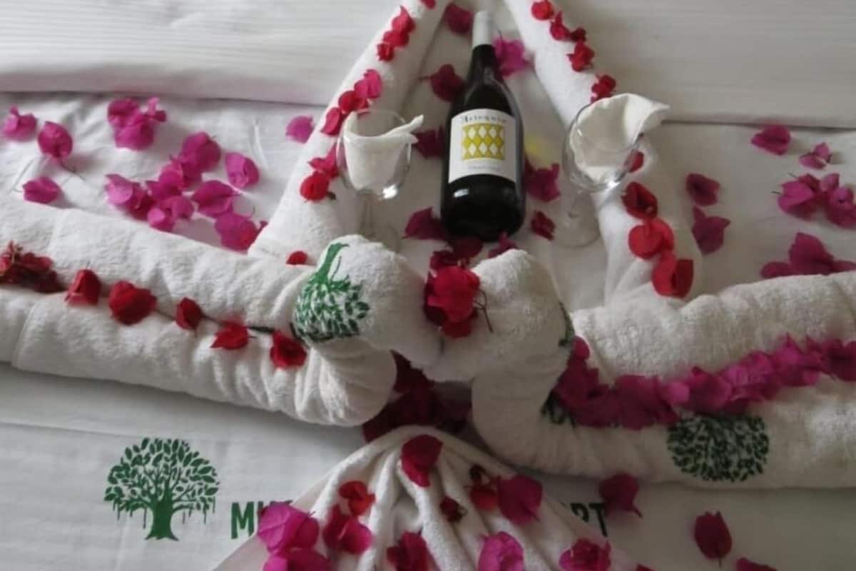 A bed with a white blanket and pillows, adorned with pink flower petals.