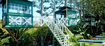 The Mugumo Valley Resort