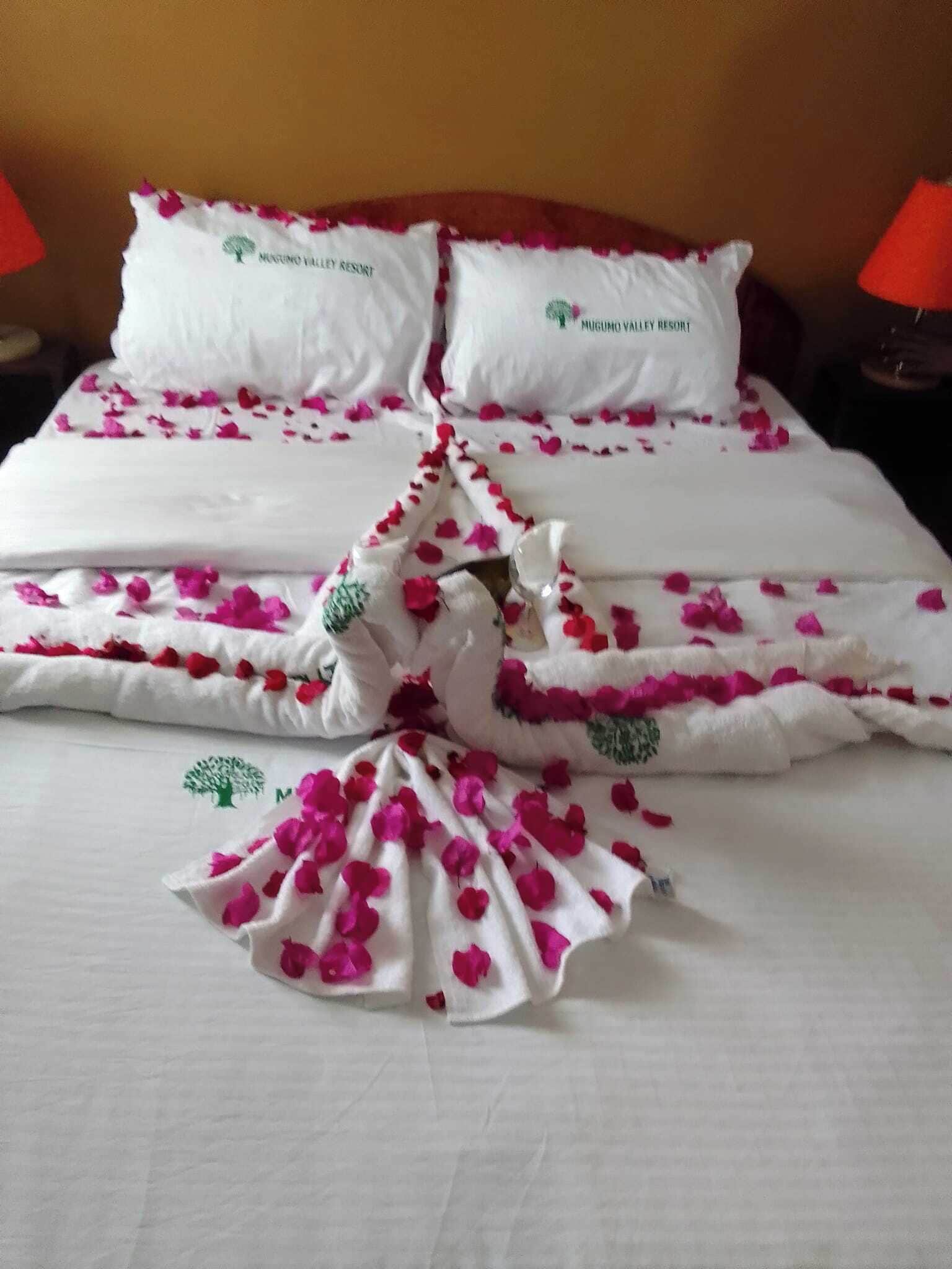 Deluxe Double Room, Pool View | Free WiFi, bed sheets