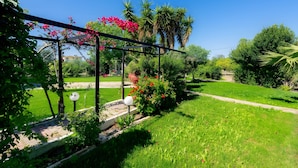 A garden with a pergola, green grass, and various plants.