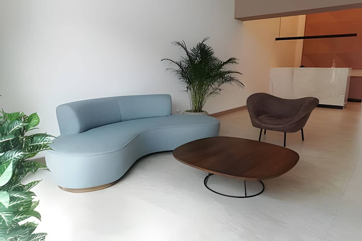 A modern interior with a curved blue sofa, a brown chair, and a potted plant.