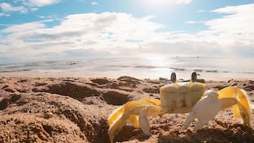 Playa en los alrededores y playa de arena blanca