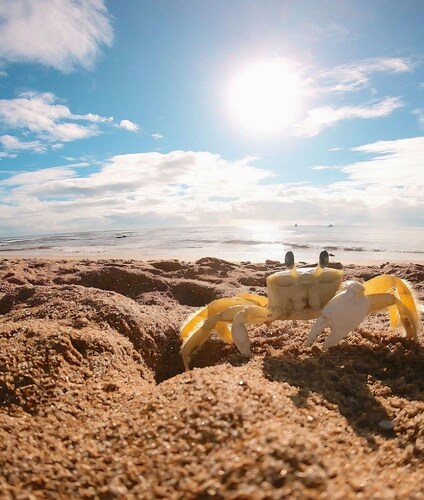 Tida Suítes Beija-Flor e Bem-te-vi