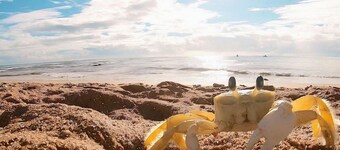 Tida Suítes Beija-Flor e Bem-te-vi