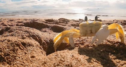 Tida Suítes Beija-Flor e Bem-te-vi