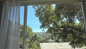Vista attraverso una finestra con tende leggere, che mostra una casa con tetto spiovente, antenna parabolica e un grande albero sullo sfondo.