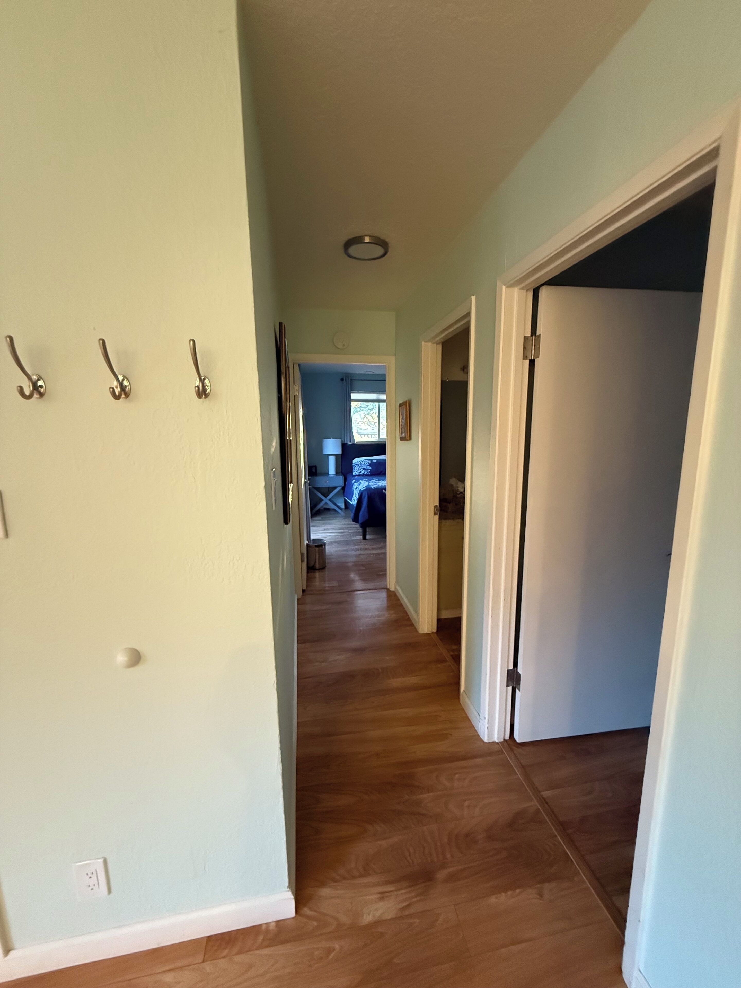 A hallway with wooden flooring, light green walls, and a door on the right.