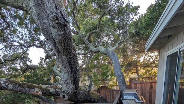 Una terrazza con sedie in metallo verde e un tavolo, circondata da alberi e un recinto in legno.