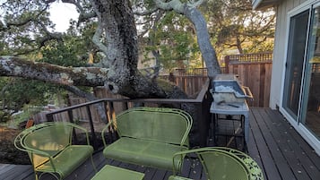 Terrasse/gårdhave