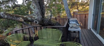 2 Bedroom Treehouse Cottage