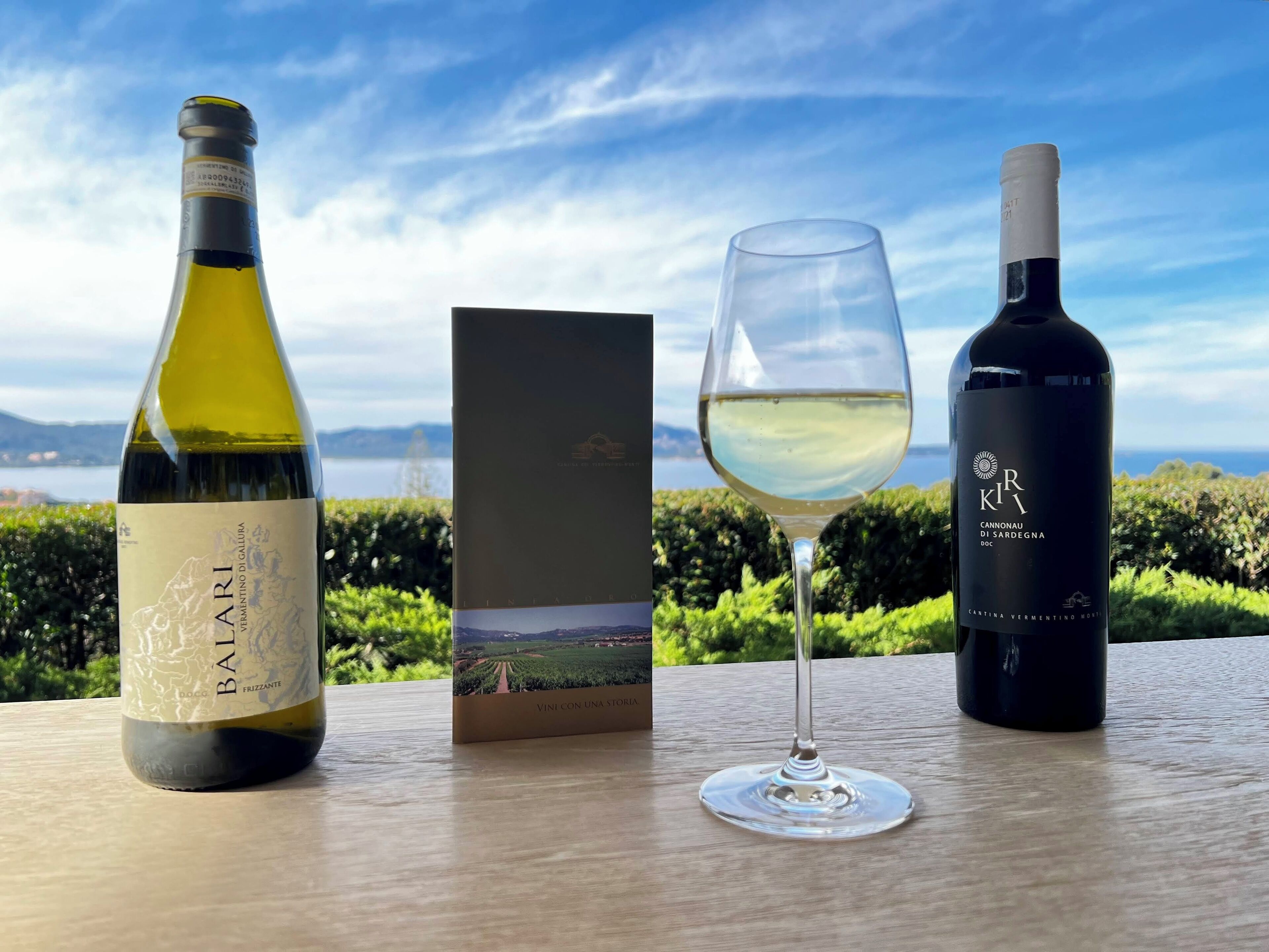 A bottle of wine, a wine glass, and a wine bottle on a table with a scenic view.