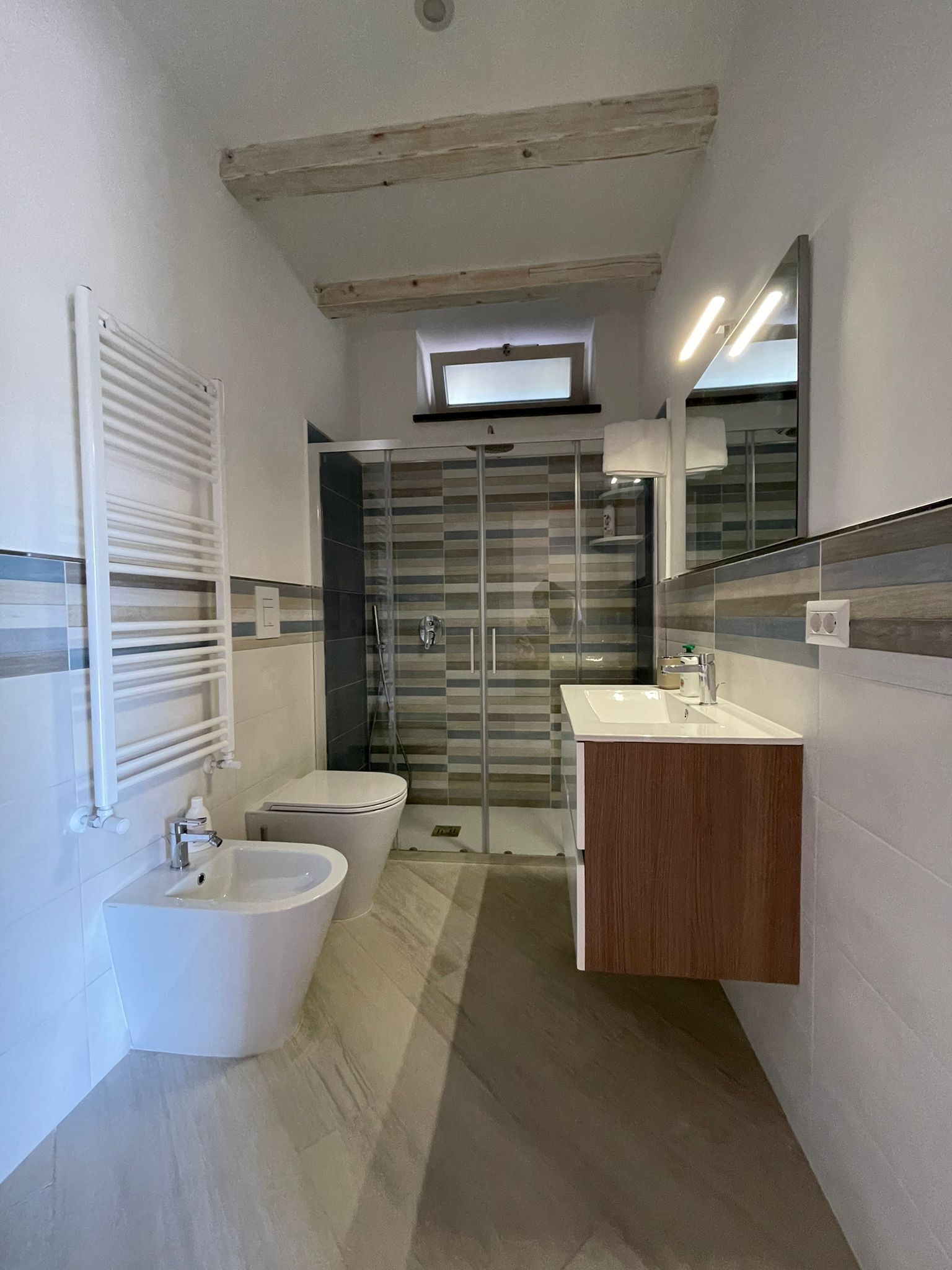 Shower, hair dryer, bidet, towels