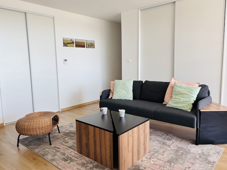 Air-conditioned Apartment - 3 Bedrooms - Strasbourg
