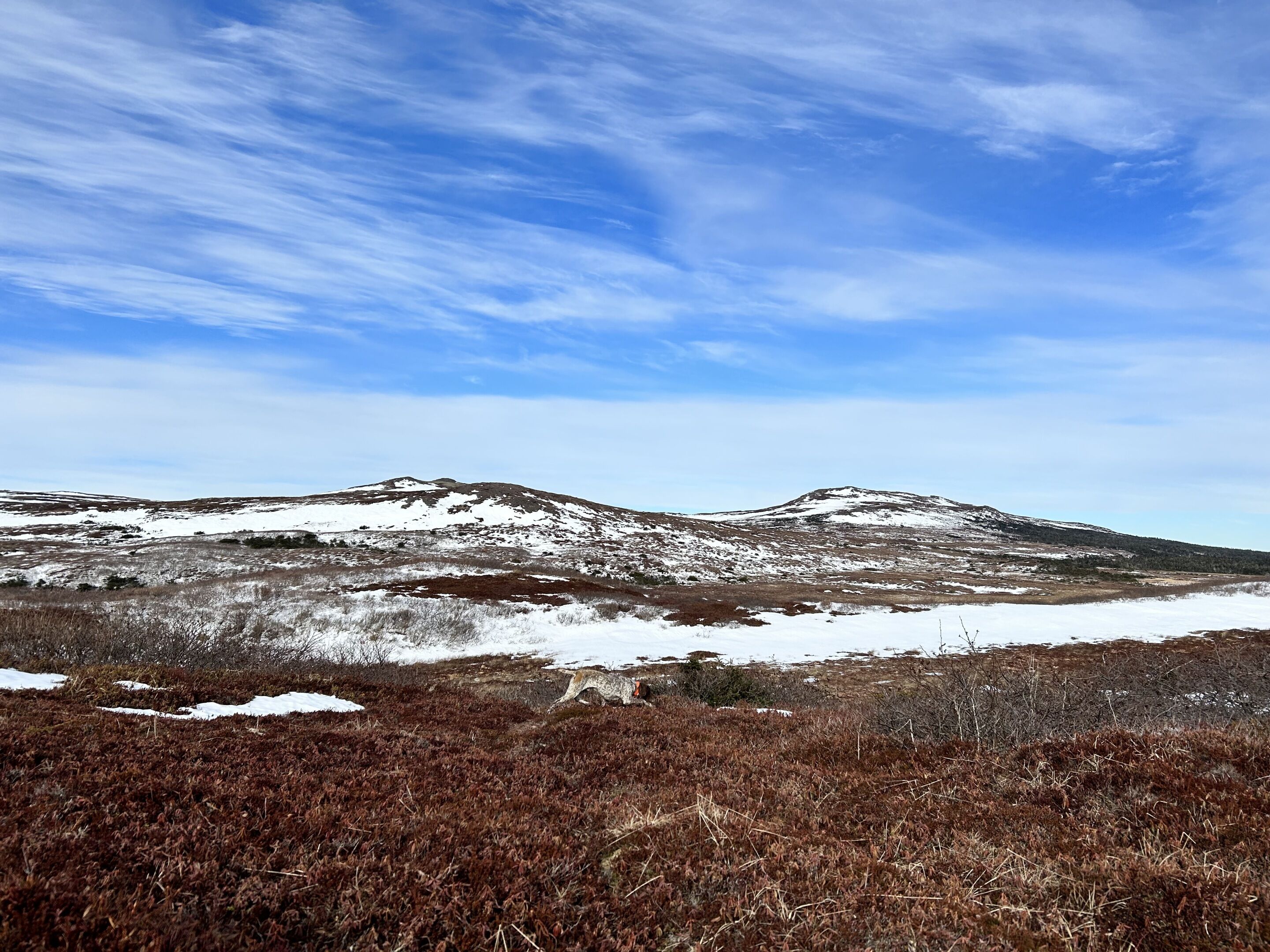 Un paisaje montañoso con parches de nieve y cielo despejado.