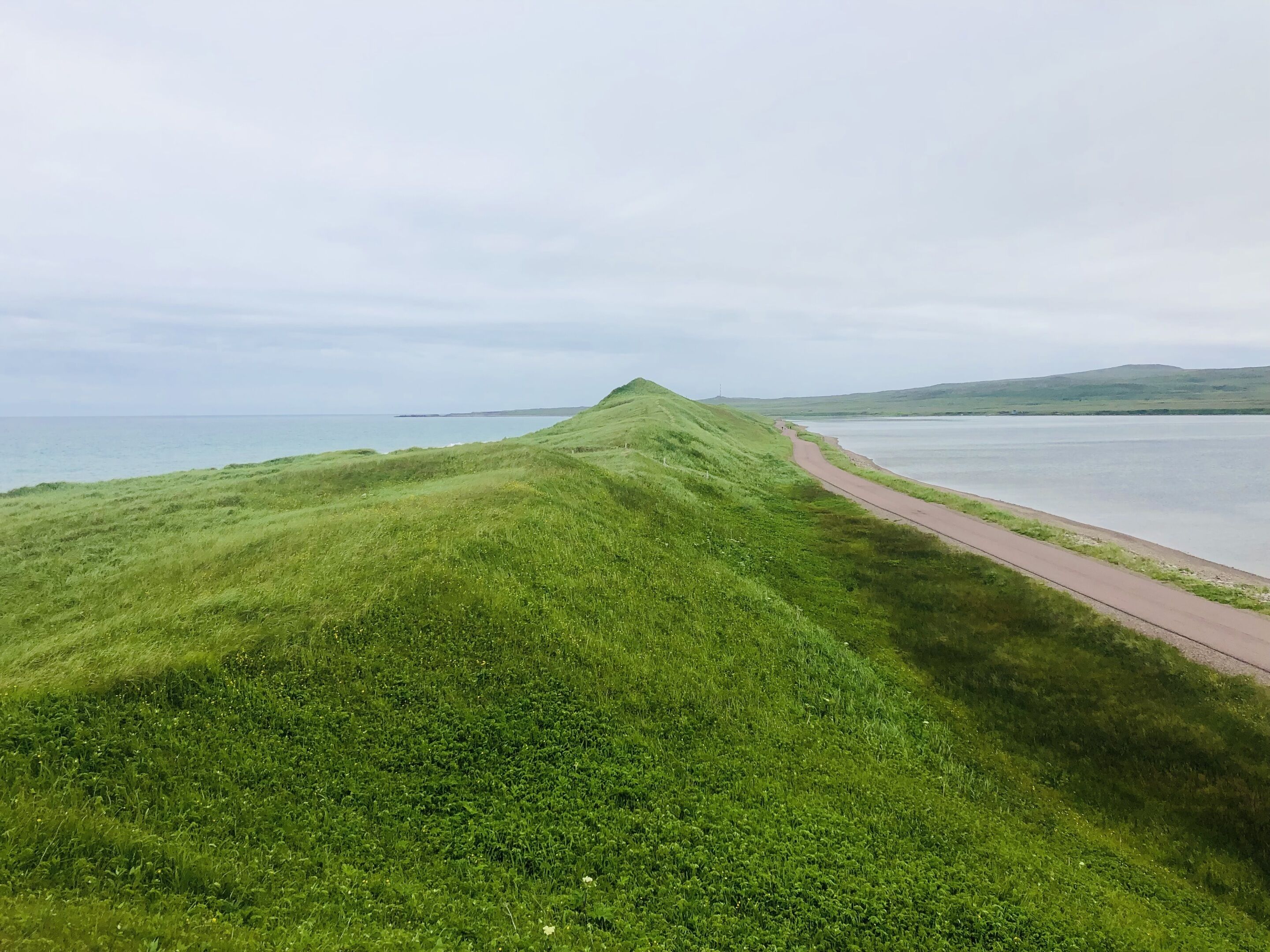 A grassy hill with a paved path leading to a body of water.