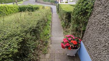 Área da propriedade