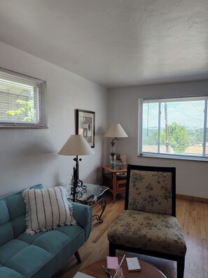 TV - Charming European style 2-bedroom house in beautiful Pittsburgh with AC, wi-fi (Pittsburgh)