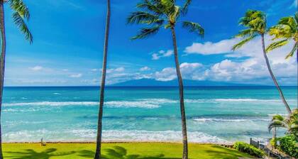 Papakea F207: Oceanfront Studio