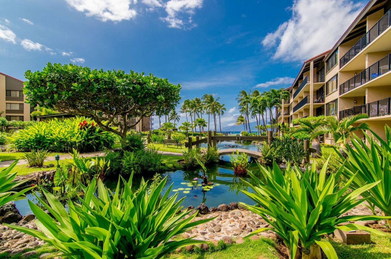 A hotel courtyard with a pond, palm trees, and a wooden bridge.
