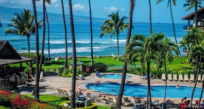 Papakea F207: Oceanfront Studio