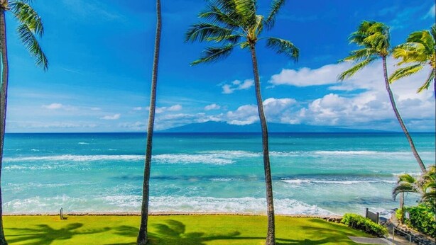Una playa tropical con palmeras y vistas al océano.