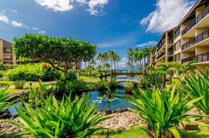 Property grounds - Papakea F306: Oceanfront Retreat (Lahaina)