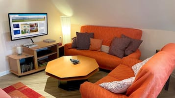 TV, DVD player, books, video library