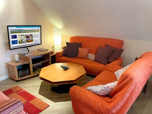 TV, DVD player, books, video library
