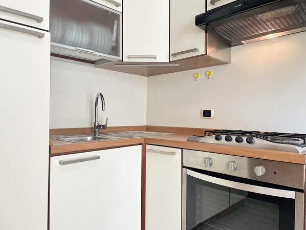 Fridge, oven, stovetop, cookware/dishes/utensils