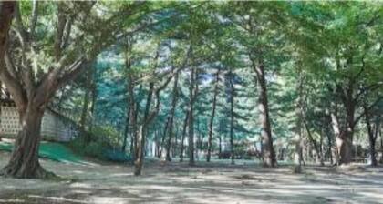 4-min Sinsa Station in Gangnam #Central #Hospital