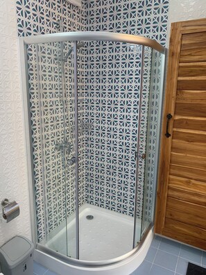 Shower, hair dryer, bidet, towels