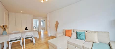 電視