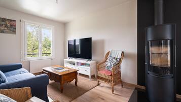 Tv, eldstad och dvd-spelare