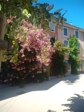 Property grounds - Gîte Lisianthus - Gîte Le Petit Luberon (Cabrières d'Avignon)