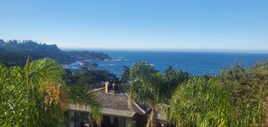 Vista desde la propiedad