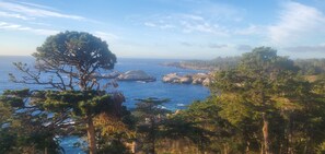 Miscellaneous - Cozy condo-kitchen, fireplace, views & AC in Carmel! Concourse d'Elegance Week!! (Carmel)