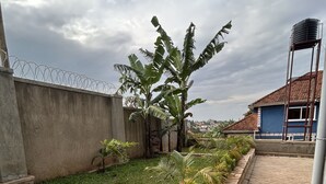 Un jardí amb un camí pavimentat, un mur de formigó amb filferro i un edifici amb teulada d'rajola.