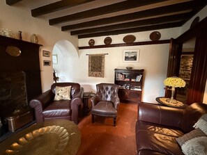 TV, lareira, videogames, livros