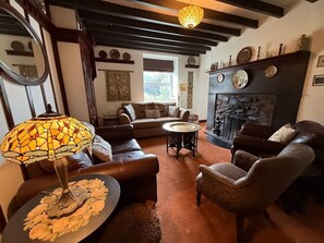 TV, fireplace, video games, books