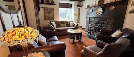 TV, fireplace, video games