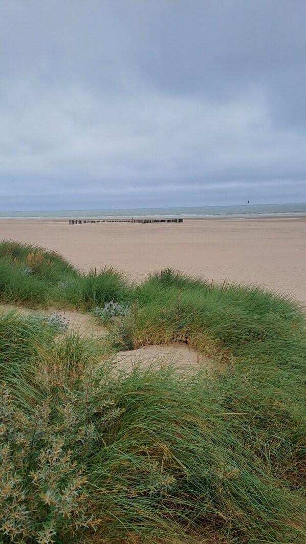 A beach with a wooden pier extending into the water, surrounded by sand and sparse vegetation.