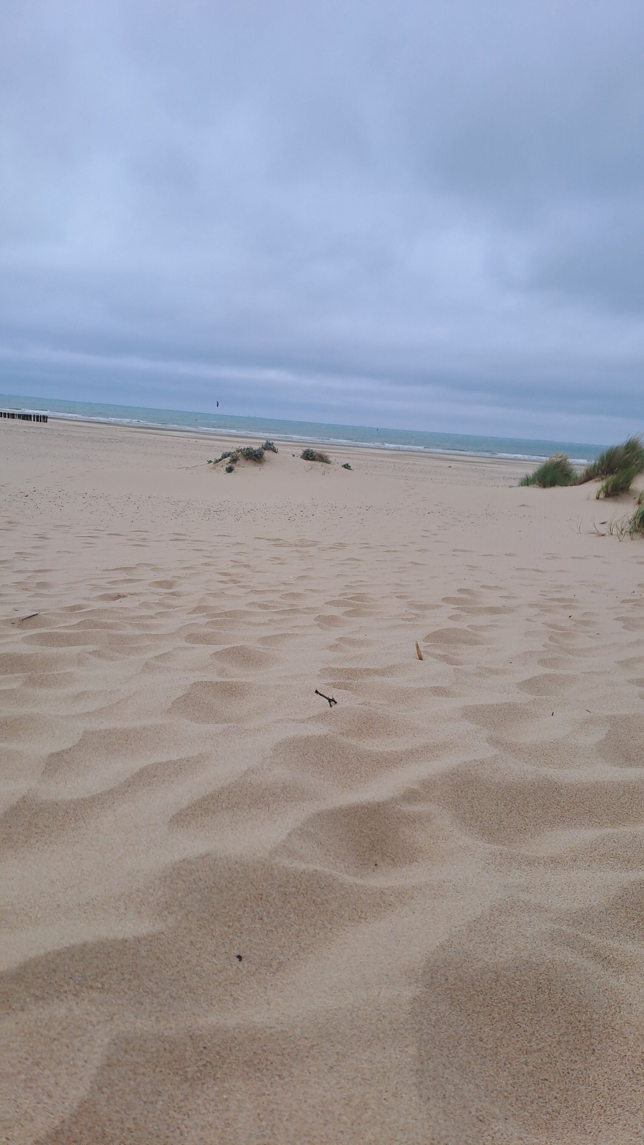 Ein sandiger Strand mit Fußabdrücken und vereinzelter Vegetation.