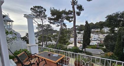 The Spanish at Capri
