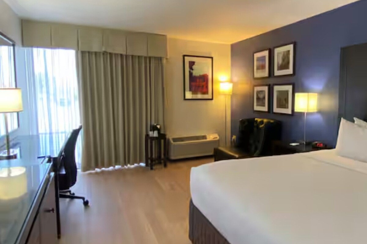 A hotel room with a large bed, a desk, a chair, a TV, and a window with curtains.