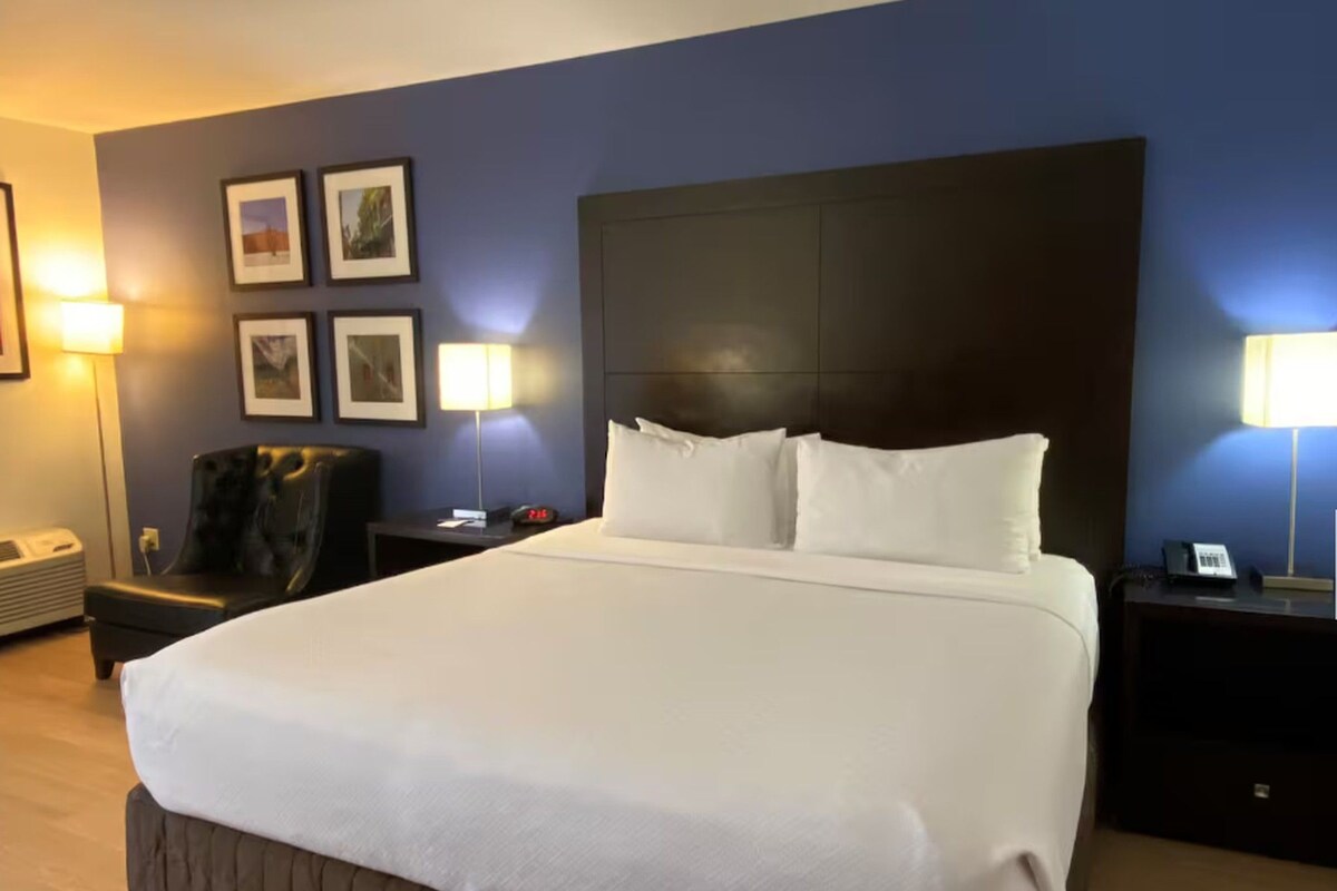 Habitación de hotel con una cama grande, cabecera, una silla, mesita de noche, lámpara y cuadros en la pared.