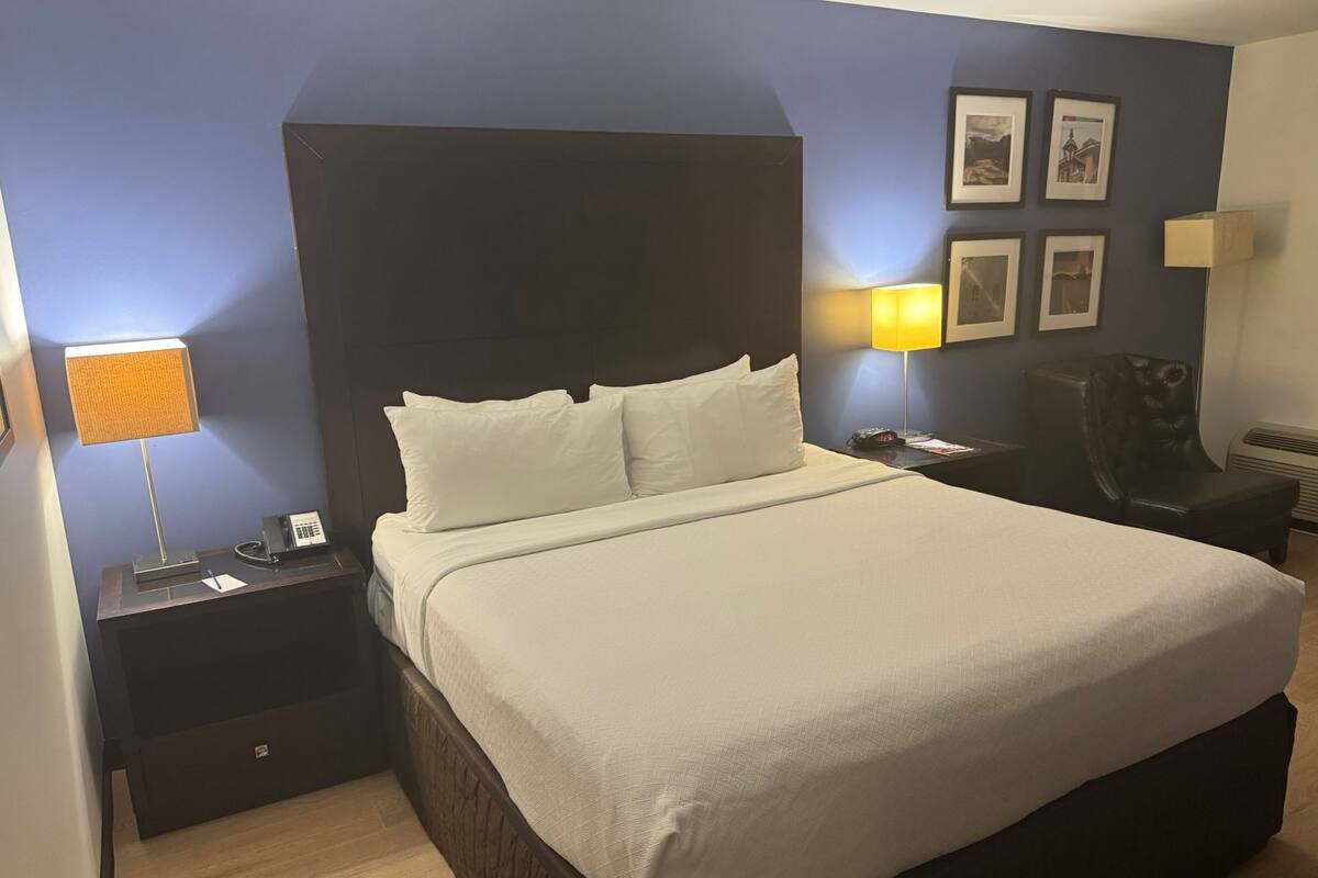 A hotel room with a large bed, a nightstand with a lamp, a chair, and framed pictures on the wall.