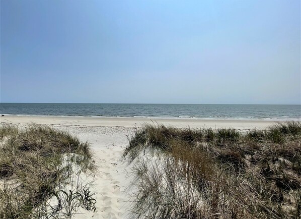 Strand